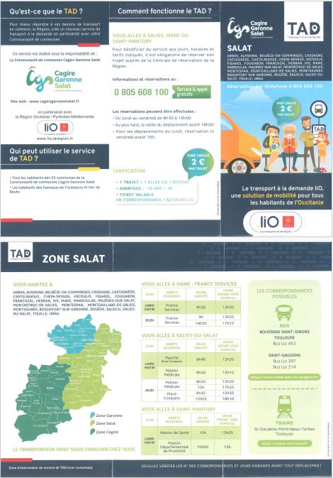 Flyer Transport à la Demande